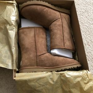 Short UGG boots; chestnut